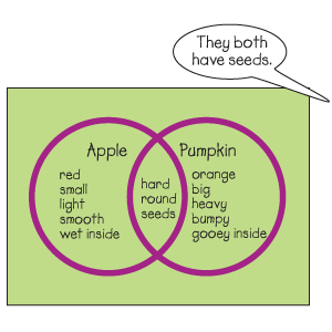 Circle Time Activity: making comparisons