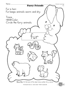 Copy Of Animal - Lessons - Blendspace