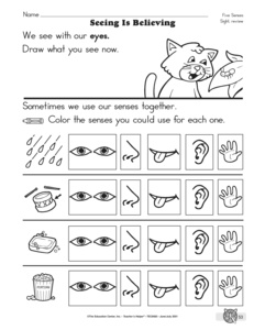 Science worksheets Kindergarten five  senses Results 5 science Senses:  All  For Products For Activities