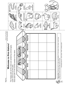 animals   Mailbox defenses  animal  worksheet worksheet Results Guest The  for