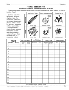 worksheet  Science worksheet   animal  The   All 6  for  Guest  Mailbox  defenses  Products