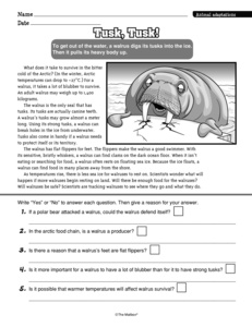 for Success adaptation worksheets worksheets grade 4 adaptations animal animal