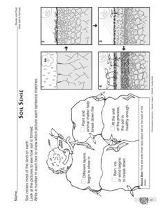 plant and is formed worksheet interdependence animal how science soil worksheet
